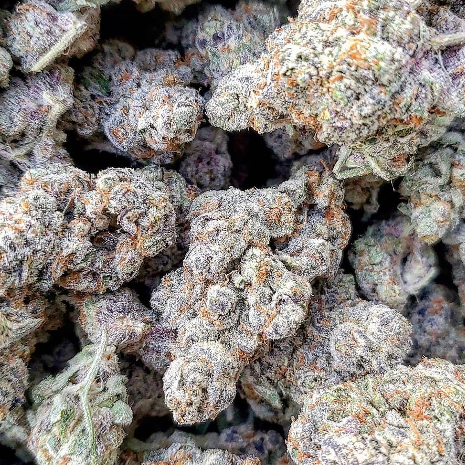 Super Gruntz #29 / 3.5g Prepack